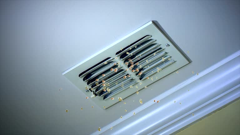 Best Professional Duct Cleaning Services  in Del Aire, CA